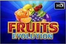 Fruits Evolution Slot Review